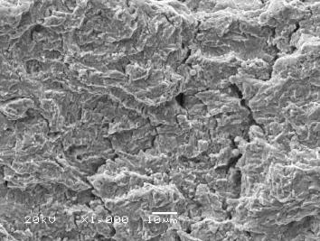 Region with Fracture Surface Fracture Surface